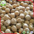 Origine chinoise 7mm 8mm 9mm 10mm 12mm Kabuli Chickpeas